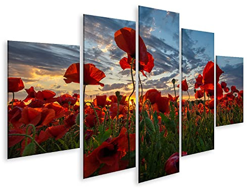 islandburner Bild auf Leinwand Panorama eines Feldes mit roten Mohnblumen Foto Bilder Wandbilder Poster IQPR-MFP