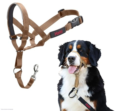 HALTI Headcollar - För att hindra din hund från att dra i kopplet. Justerbar, reflekterande och lätt, med vadderat näsband. Anti-draghalsband för hundträning för stora hundar (Storlek 4, Ökensand)