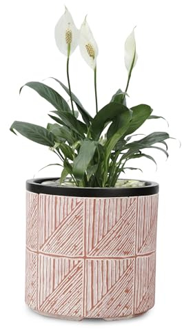 VOSSMOON Plant Pots Outdoor Garden Round Flowerpots Indoor, 32cm Large Concrete Planter for Big Olive Trees, Plant Containers with Drainage Holes, Pink
