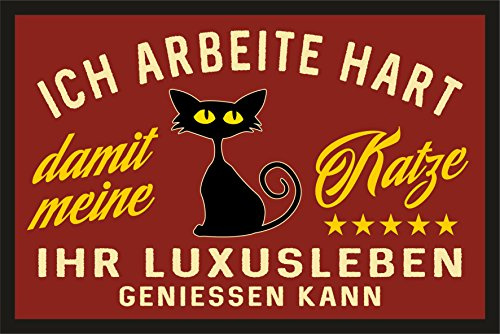 RAHMENLOS Fußmatte Türmatte Schmutzfangmatte für den Katzenliebhaber: Ich arbeite hart für das Luxusleben meiner Katze 225