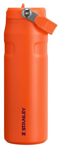 Stanley IceFlow Flip Straw 2.0 Water Bottle 24 Oz | Built in Straw with Larger Mouth | Lightweight & Leak Resistant | Insulated Stainless Steel | BPA Free | Tiger Plum