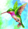 DIAMOND DOTZ DIAMOND DOTZ DD5-031 Diamond Dotz Kolibri, ca. 28 x 29 cm groß, Diamond Painting, Malen mit Diamanten, funkelndes Bild zum Selbstgestalten, für Kinder und Erwachsene, bunt