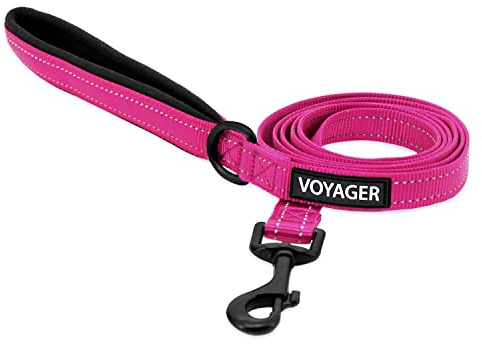 Voyager - Correa Reflectante para Perro con Mango de Neopreno, 5 pies de Largo, soporta Cachorros de Raza pequeña, Mediana y Grande, Bonita y Resistente para Caminar, Correr y Entrenar, Fucsia