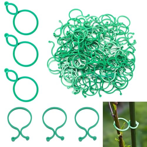 Lyivisk 200 Clips para Plantas Reutilizables de Plástico, Soportes para Plantas Trepadoras como Tomates y Pepinos, Sujetadores Prácticos para Fijación y Soporte en Jardín