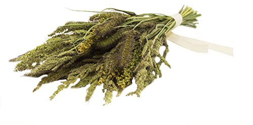 JR FARM Birds Potpourri Millet 50 g