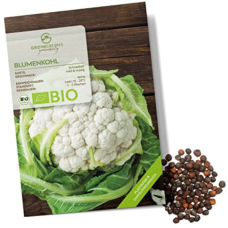 BIO Blumenkohl Samen (Schneeball, 35 Korn) - Blumenkohl Saatgut aus biologischem Anbau ideal für die Anzucht im Garten, Balkon oder Terrasse