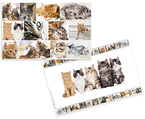 HERMA 19379 Schreibtischunterlage Tiere Katzen 3er Set, 55 x 35 cm, rutschfest, abwischbar und mit beidseitigem Motiv bedruckte Schreibunterlage aus stabilem Karton, Tischunterlage für Kinder