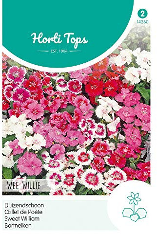 Hortitops 14260 Bartnelken Wee Willie Mischung (Nelkensamen)