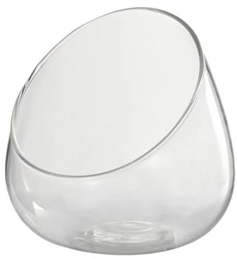 Milageto Cuenco de Cristal Transparente con Corte Inclinado, florero, Planta de Aire, terrario, Soporte para Clavel de Aire, Mini Tarro para Dulces para