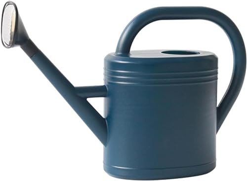 Gießkanne mit Gießbrause Blumengießkanne Gießkannen Klein Zimmerpflanzen Giesskanne Kunststoff Pflanzengießkanne Gartengießkanne Watering Can für Bewässerung Blumen, Pflanzen & Bäumen (Blau, 3L)