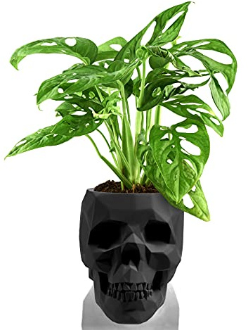 Monstera Monkey Leaf Blumentopf Skull Schwarz Durchmesser von 11 cm und ist 14 cm hoch