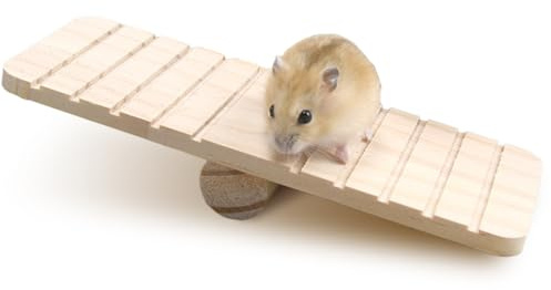Jouets pour hamster, pont à bascule en bois, accessoires molaire pour hamster et cochons d'indes, jouets à mâcher pour lapins et petits animaux (19 × 7 × 3 cm)