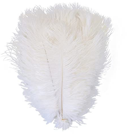 10pcs Naturel Plumes D'Autruche - 25-30cm Grandes Plumes - Doux Et Moelleux Ostrich Feathers Plume - Plumes Colorées - DIY Plumes de Décor pour Artisanat Costumes, Chapeaux, Décoration D'intérieur
