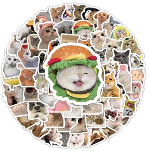 100 PCS Cute Cat Stickers Pack, Funny Vinyl Stickers, Waterproof for Water Bottles Laptops Skateboards for Cat Lovers