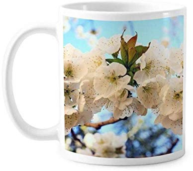Weiße Blumen Schöne Rose Tasse Keramik Kaffee Porzellan Tasse Geschirr