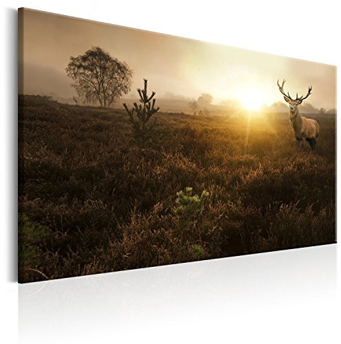 murando - Akustikbild Hirsch Bilder Akustikschaum Hochleistungsschallabsorber Schallschutz Leinwand 1 tlg Wandbild Raumakustik Schalldämmung Natur Tier Landschaft g-B-0051-b-b