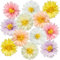 EASY JOY 12pcs Daisy Paper Flower Pom Poms 14‘’ Large Tissue Flowers Spring Pink Paper Flowers Decorations for Wall Backdrop Baby Shower Garden Wedding Tea Party Decor