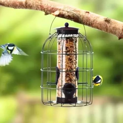 Homezone Garden Mile Eichhörnchen Sicher Füttern Käfig Samen Muttern Fett Kugeln mit Sicher Schutz Außen Käfig Schutz für Garten - Futtersäule