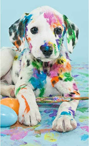 XIATIAN Diamond Painting Erwachsene, Diamant Painting, Diamant Painting Bilder Hund Set, DIY Crystal Art Stickerei Kreuzstich Set für Wanddekoration 30x40 cm