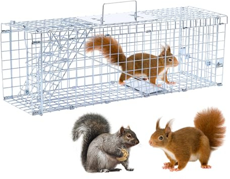 24” Humane Animal Trap Live Animal Trap Cage for Squirrels Small Stray Cats Rabbits Groundhogs Moles Gophers and Chipmunks up to 5.5 lbs Galvanized Rustproof Live Animal Cage Trap