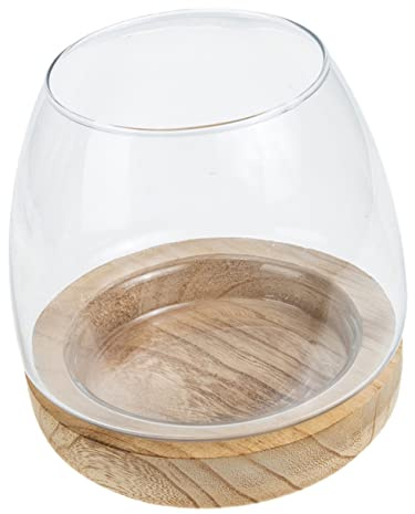 TOYANDONA Glass Hydroponic Plant Terrarium with Wooden Base Unique Fish Tank Bowl Planter for Indoor Desktop Decoration Premium Glass and Wood Material for Office Home Garden Use