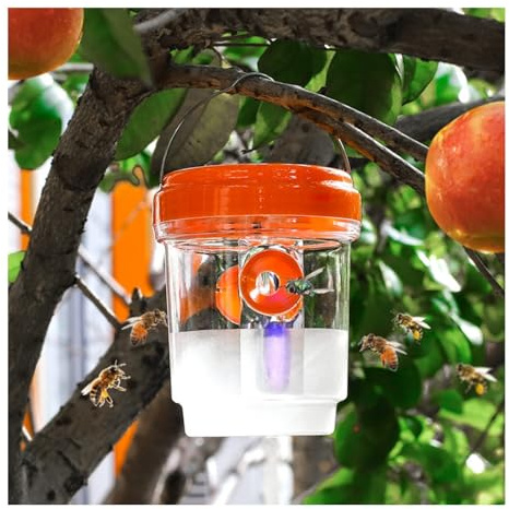 3Pièces Piège à Guêpes Insectes, Piege Frelon Asiatique, Attrape-Guêpes Amovible et Réutilisable, Piège à Guêpes Vivant à Double Canal, pour Exterieur Jardin Balcon, sans Attractif Chimique (Orange)