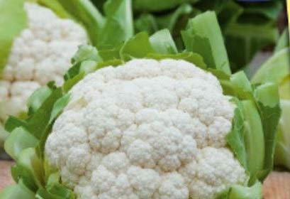 Pcs - 50x Chou-Fleur Fremont F1 Légumes Graines Semences Jardin Plantes - Graines K170 - Seeds & Plants Shop by Ipsa