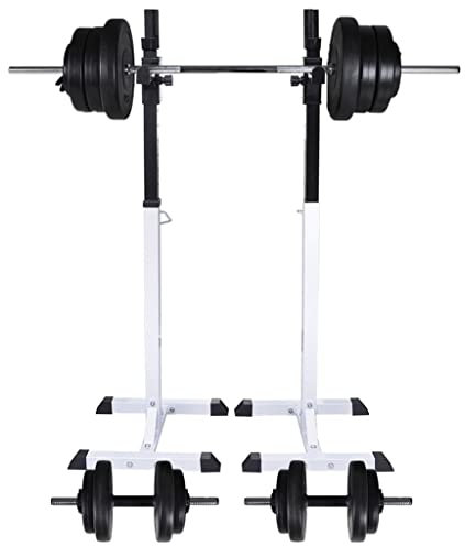 vidaXL Kniebeugenständer mit Hantel Set 60,5kg Langhantelständer Hantelablage