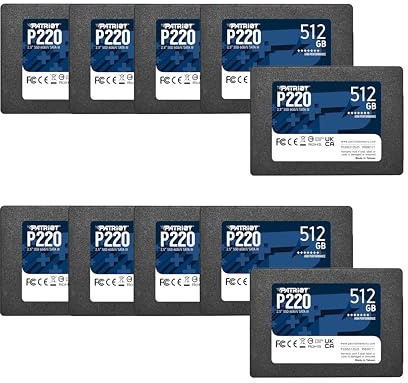Patriot Memory P220 P220S512G2510 Set di 10 dischi SSD interni SATA 3 2,5 512 GB