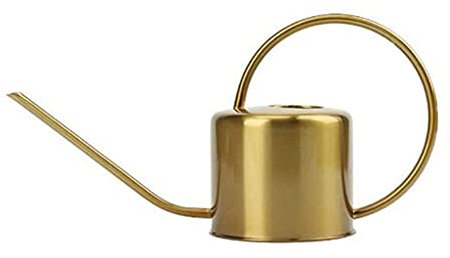 Arrosoir Couleur Cuivre Arrosoir en Métal avec Bec Amovible Arrosoir pour Plantes D'intérieur Arrosoir-A