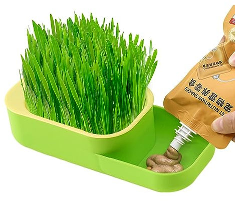 Visiblurry Katzengras-Pflanzkasten,Hydroponischer Katzengraszüchter | Auslaufsicherer Behälter für Katzenfutter, Bio-Katzengras-Pflanzbox für Katzen und Kätzchen