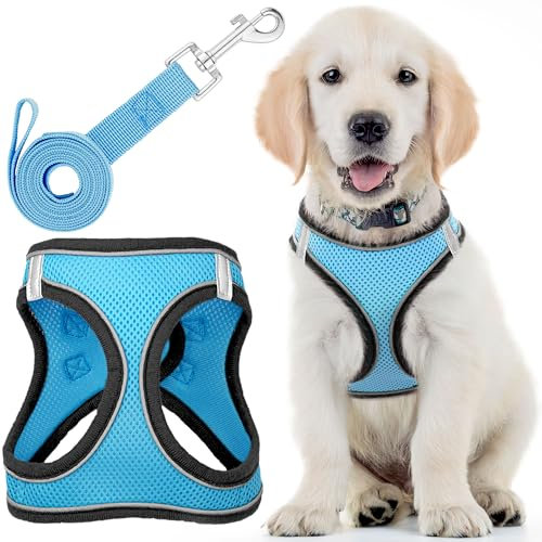 Hundegeschirr + Leine - Mittel, Husky-Blau - Weich gepolstert + No-Pull-Design Haustier-Geschirr + Reflektierende Streifen für kleine + mittelgroße Hunde - von EcoEarth