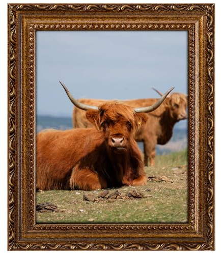 FJXMFRAME Gold 8x10 Picture Frame with Mat, Vintage Wood Photo Frame for Real Glass, Tabletop or Wall Display, Matted 5x7 or 8 x 10 Photos, Easy Photo Changes, Ornate Antique Wall Art