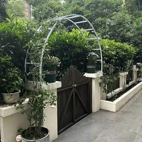 Arche de jardin en métal blanc - Treillage circulaire en fer - Décoration pour plantes grimpantes et rosiers - 150 x 75 x 40 cm - Support élégant pour toile de fond extérieure