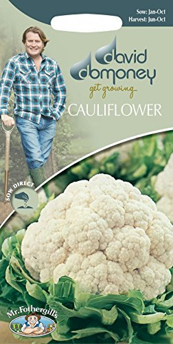 Mr Fothergills - Vegetable - David Domoney Cauliflower - All Year Round - 200 Seeds