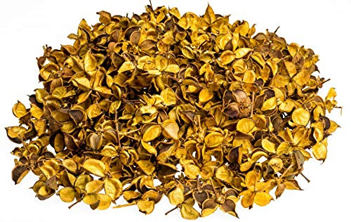NaDeco Cotton Pods Gelb, verpackt im Beutel mit 250g | Baumwoll Knospen | Deko Blüten | getrocknete Naturdeko | Trockenblumen | Baumwoll Schoten | Streudeko | Naturdekoration