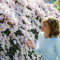 Clematis Seeds Clematis Montana Mayleen Seeds Pink Vine Flowers Plant Seed Vines Climbing Plants Twining Climbing Plant