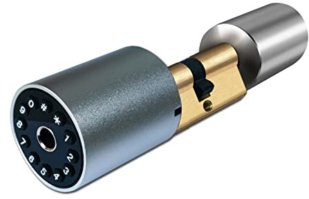 Serrure Connectée, Verrouillage par mot de passe de taille Variable Serrure de porte à empreintes digitales Serrure de porte intelligente Serrure de porte extérieure Serrure électronique Tuya APP Cyli