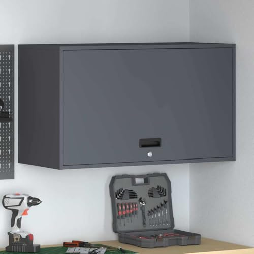 Teenpull Armario de pared para garaje, antracita, acero pulverizado, 40 x 90 x 53 cm, con puerta de elevación de gas, con cerradura, para taller y trastero