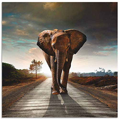 ARTland Wanddeko Wandbild Alu für Innen & Outdoor Metall Bild Tiere Wildtiere Elefant Fotografie Braun Ein Elefant läuft auf der Straße T9QO