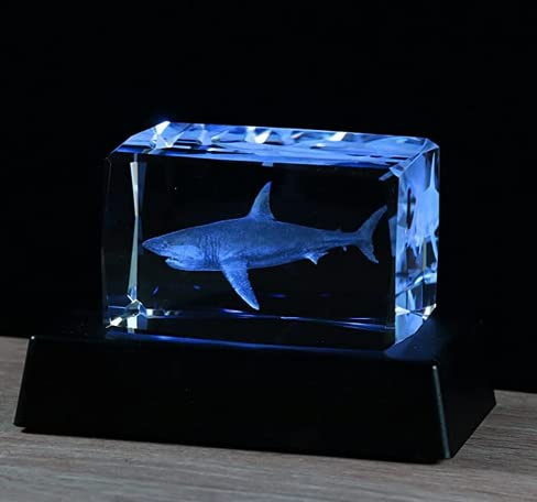 Cadeau en Cristal 3D Gravé pour Amateurs de Requins - Figurine en Verre avec Support LED Coloré - Idée Cadeau d'Anniversaire pour Femme