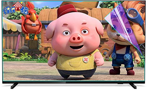 Anti Glare TV Screen Protector Matte Monitor Screen PET Filter Film Reduce Visual Fatigue, for LED, OLED & QLED 4K HDTV/B / 60 Inches 1327x749 mm