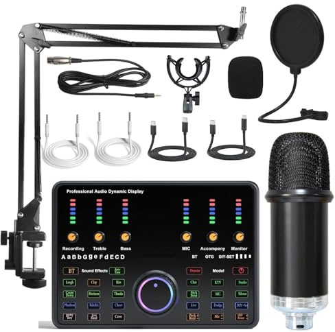 Condensatore di registrazione del computer Microfono Microfono Scheda audio trasmissione in diretta Scheda audio per telefono cellulare Set completo dedicato dal vivo,G