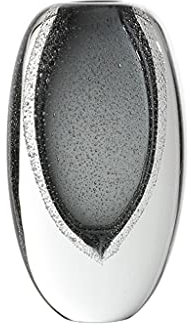 Vase Transparente Glasvase, modernes Zuhause, Restaurant, Couchtisch, Büro, Desktop-Dekoration, Vase, ovale Vase, Geschenk Vasen für Blumen(B)