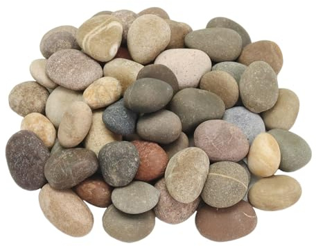 Lechloris 10LB Mixed Stones Pebbles River Rocks, Natural Becah Pebbles, 0.8-1.5 Decorative Rocks- Ideal for Garden Landscaping, Home Decor, Aquariums, Painting, Crafting and Gifts, Mixed Colors
