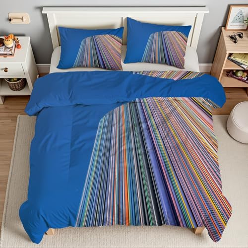 Generico Piumino Matrimoniale Linee Trapunte Edifici Colorati Piumone Imbottito Resistente Lavabile, Super Morbida Trapunta, piumini 220x240 cm in Microfibra Reversibile e 2 Federa 50x80 cmT4025