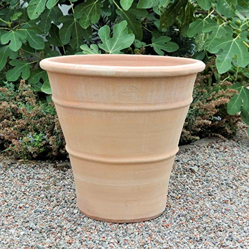 Vaso da fiori in terracotta di 50 cm di altezza, in argilla, con foro di drenaggio, resistente al gelo e agli agenti atmosferici, aspetto mediterraneo per giardino, balcone e terrazzo, ideale per