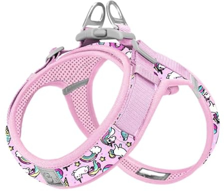 WINHYEPET Step-In Dog Harness,Easy Adjustment Harness(Orchid Bouquet,2XS) | Truelove Dog Harness Soft Mesh Reflective Breathable with Safety Buckle for Extra Small and Small Dogs