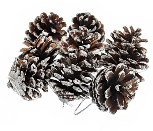 Homoyoyo 9stücke Teiliges Set Natürlicher Silberner Tannenzapfen Weihnachtsbaumschmuck Dekorative Christbaum-deko Aus Kiefernzapfen Stilvolle Baum Deko Weihnachten Für Festliche Dekoration