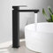 BuntHaus Rubinetto Bagno Nero, Rubinetto Lavabo Alto, Altezza beccuccio 250 mm, Miscelatore Monocomando, Acqua Calda e Fredda,Acciaio Inox, per Lavabi Sopra il Piano